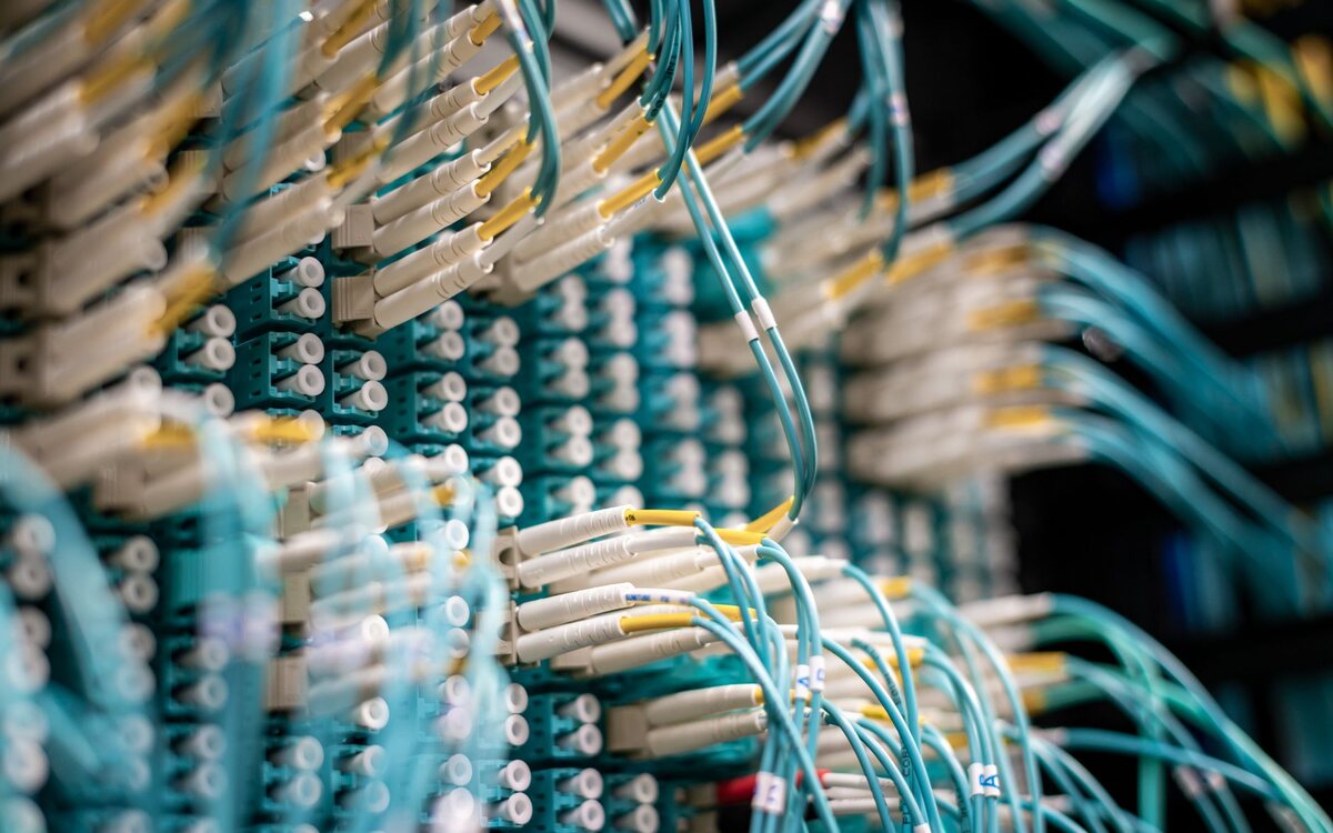 Network cables plugged into equipment